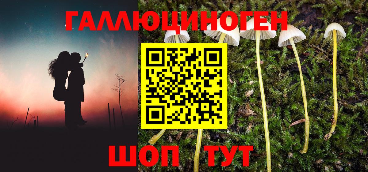 Псилоцибиновые грибы Psilocybine cubensis  Вход с VPN  наркота  Ялуторовск 