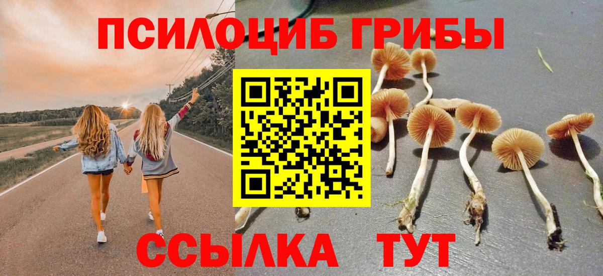 Codein Ялуторовск