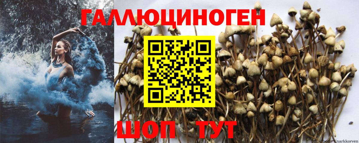 Галлюциногенные грибы GOLDEN TEACHER Ялуторовск